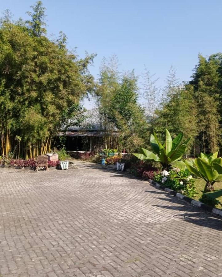 Le Bambou Gorilla Lodge Kinigi Buitenkant foto