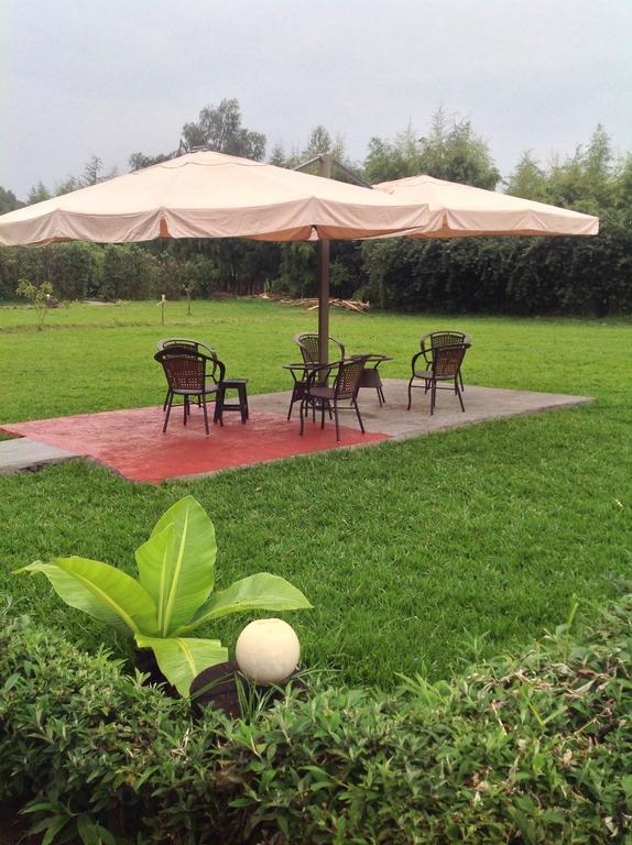 Le Bambou Gorilla Lodge Kinigi Buitenkant foto