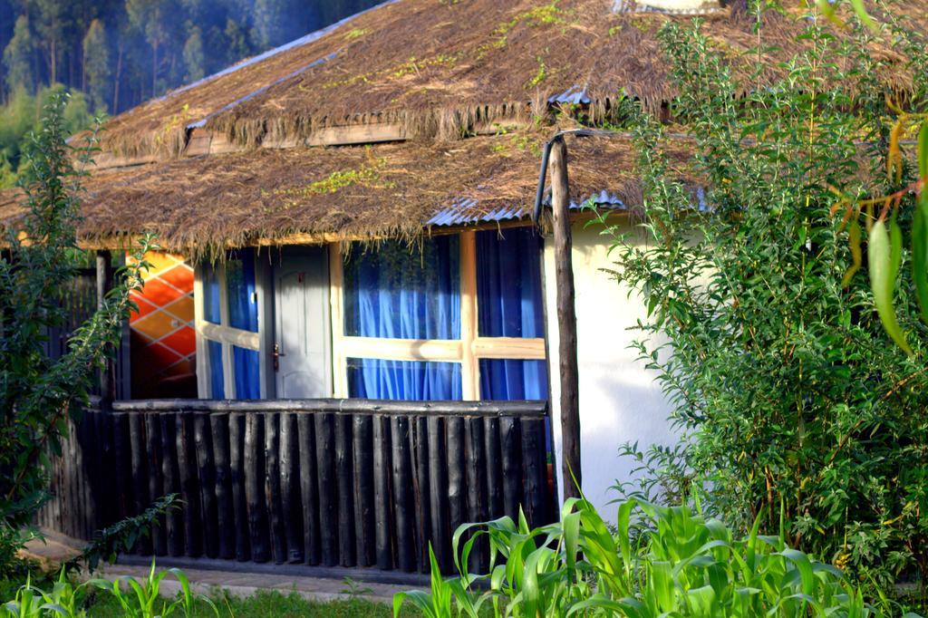 Le Bambou Gorilla Lodge Kinigi Kamer foto