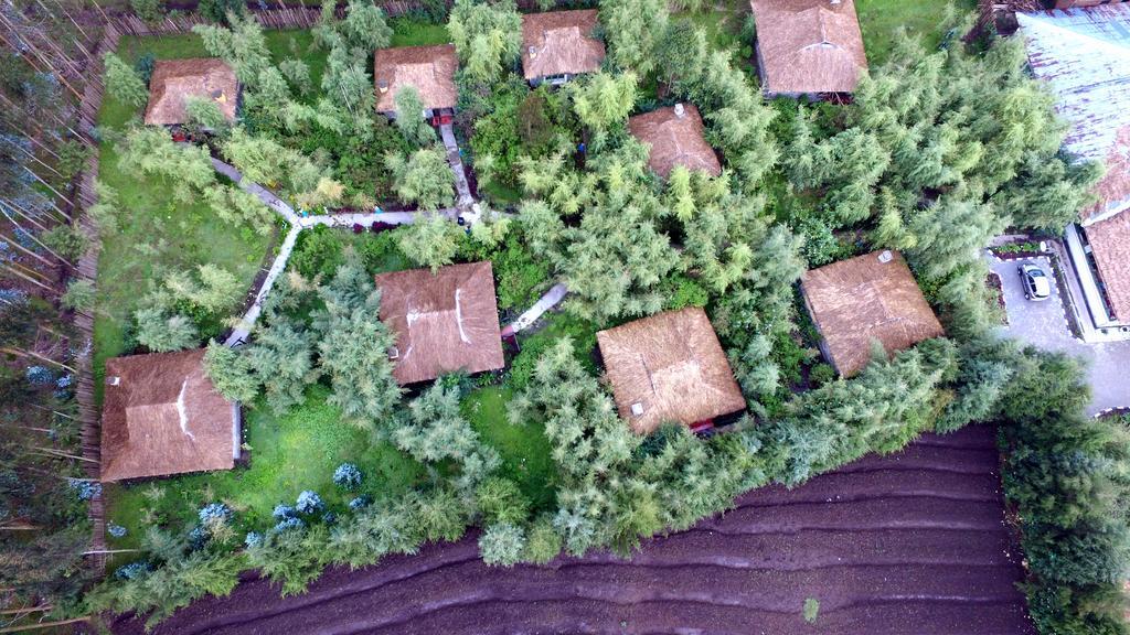 Le Bambou Gorilla Lodge Kinigi Buitenkant foto