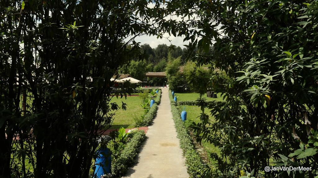 Le Bambou Gorilla Lodge Kinigi Buitenkant foto