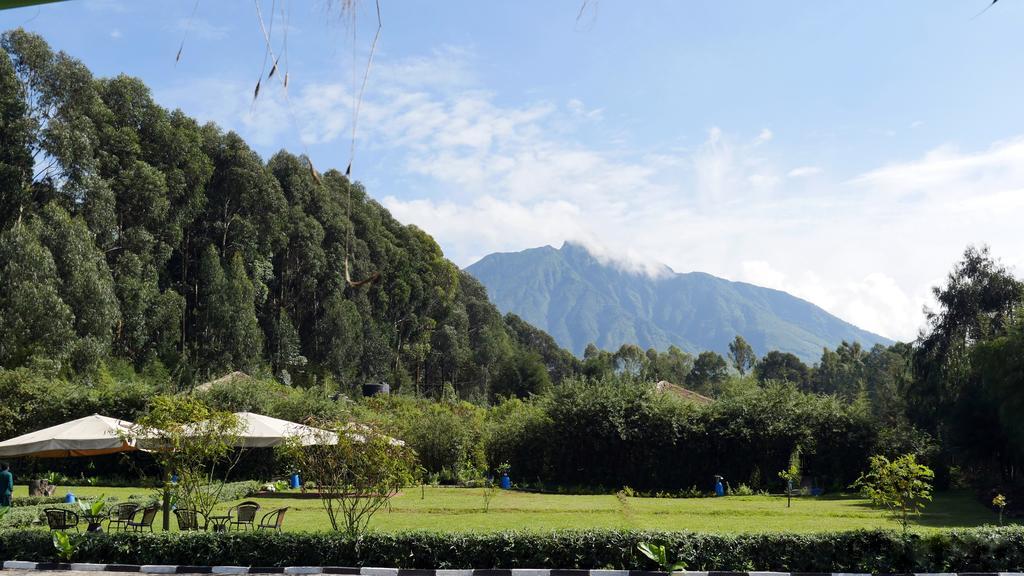 Le Bambou Gorilla Lodge Kinigi Buitenkant foto