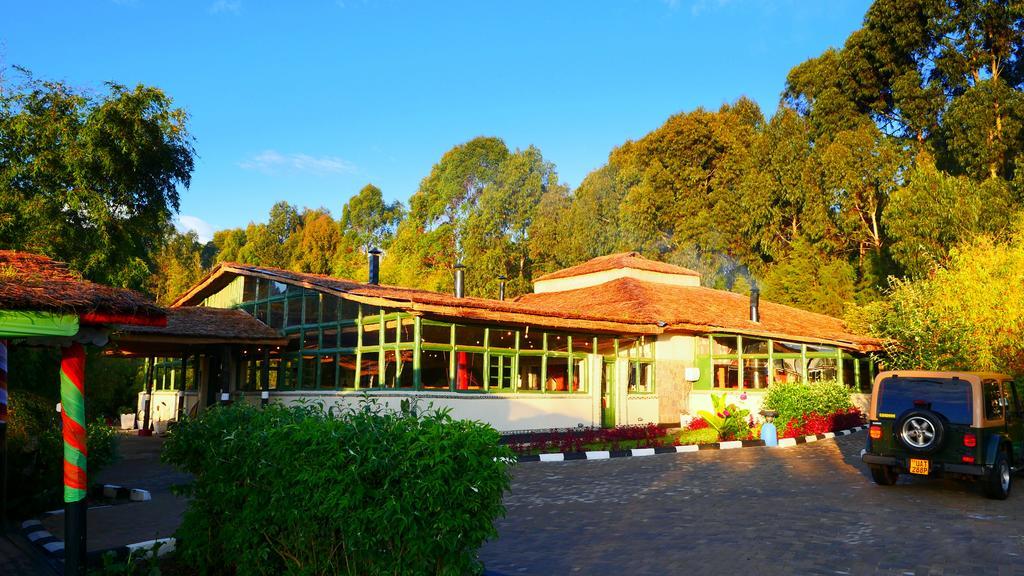 Le Bambou Gorilla Lodge Kinigi Buitenkant foto