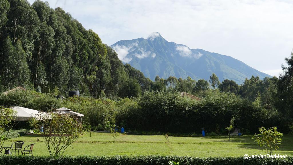 Le Bambou Gorilla Lodge Kinigi Buitenkant foto