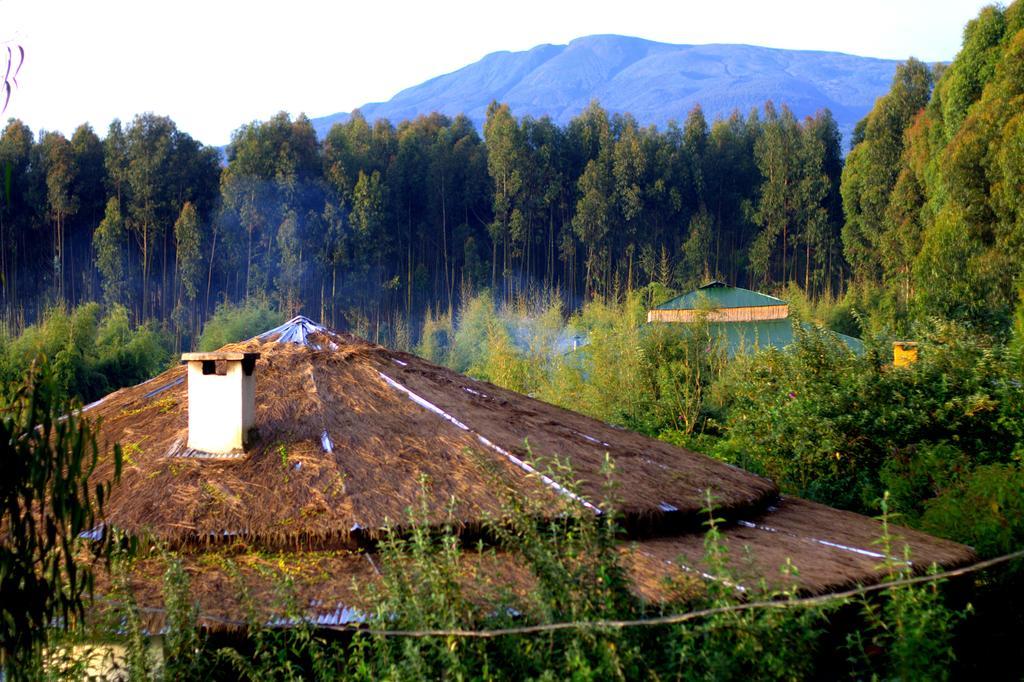 Le Bambou Gorilla Lodge Kinigi Buitenkant foto