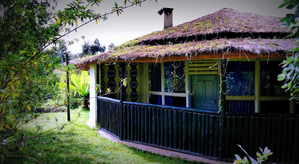 Le Bambou Gorilla Lodge Kinigi Buitenkant foto